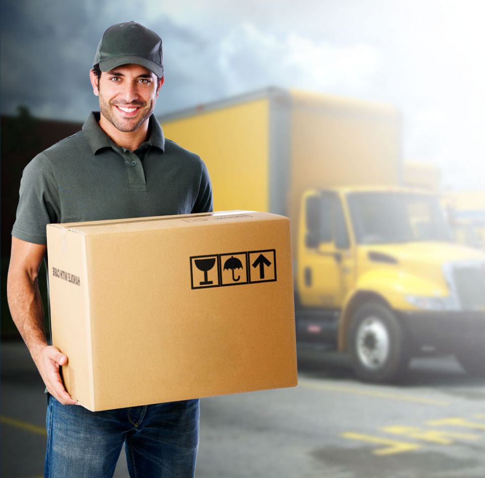 MVF Transportes -